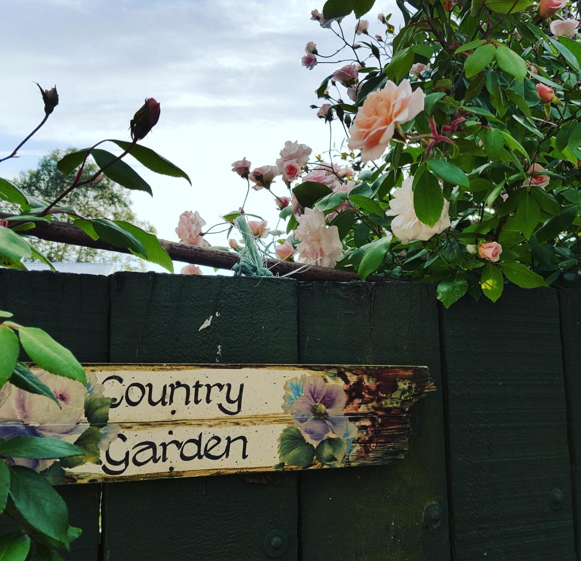 Dragonflycottagebnb Grovetown Eksteriør billede